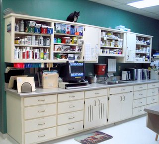 Veterinary Pharmacy at Companion Animal Hospital in Phenix City, AL 