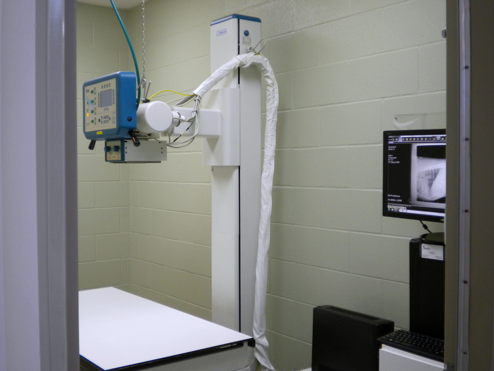 The Radiology Department at Companion Animal Hospital in Phenix City, AL