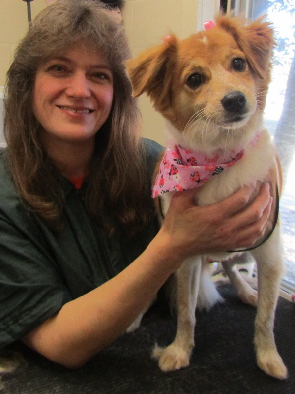 Angela Veterinary Assistant / Kennel Care