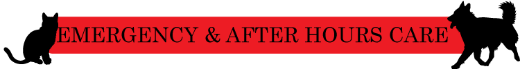 emergency & after hours care banner
