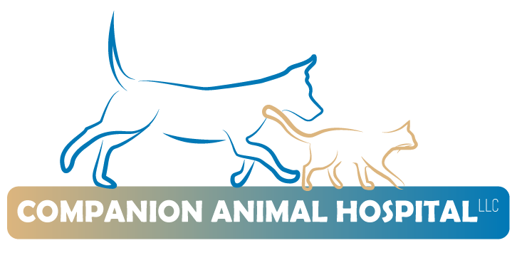 Companion Animal Hospital
